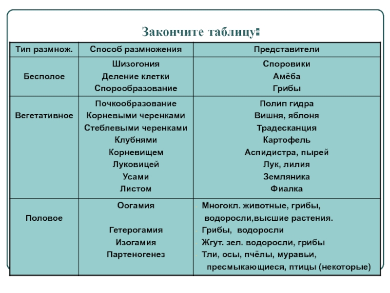 Кракен вход рабочий