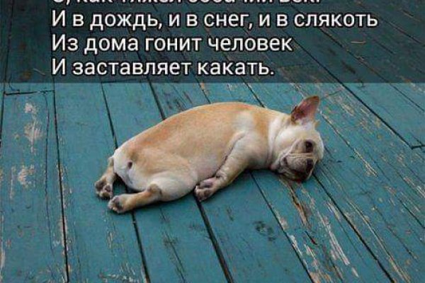 Кракен дарк площадка